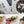 Load image into Gallery viewer, 건강한 기름, 즉염으로 한번만 튀긴 부각 - 3종세트(새송이버섯부각+연근부각+김부각)
