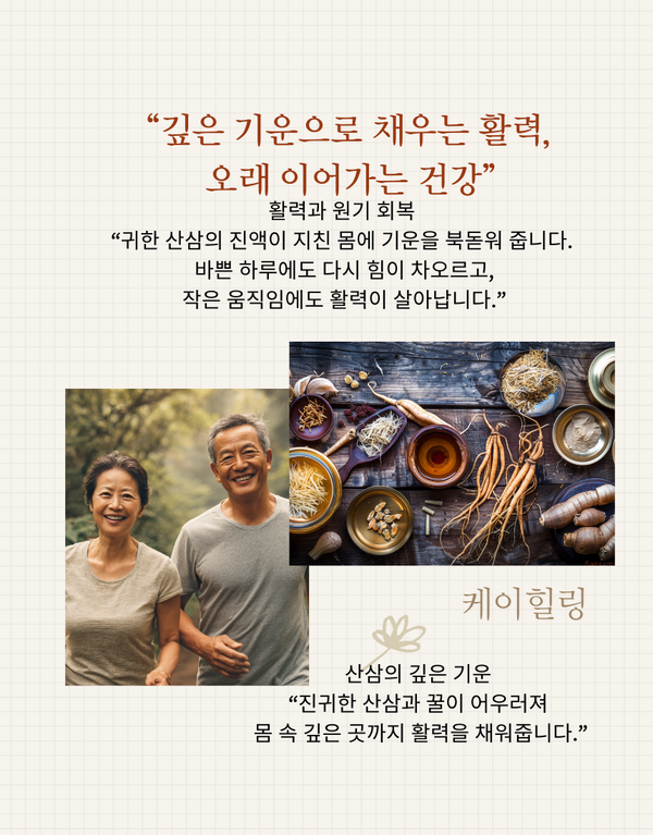 야생산삼 프리미엄 공진단
