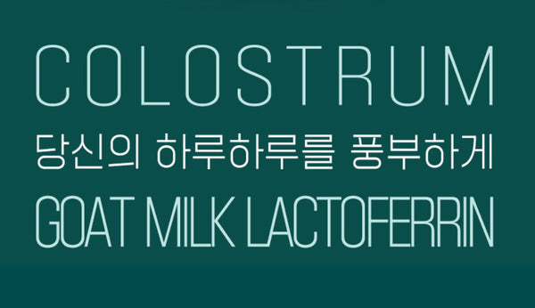 산양유 초유 단백질 락토페린 분말100